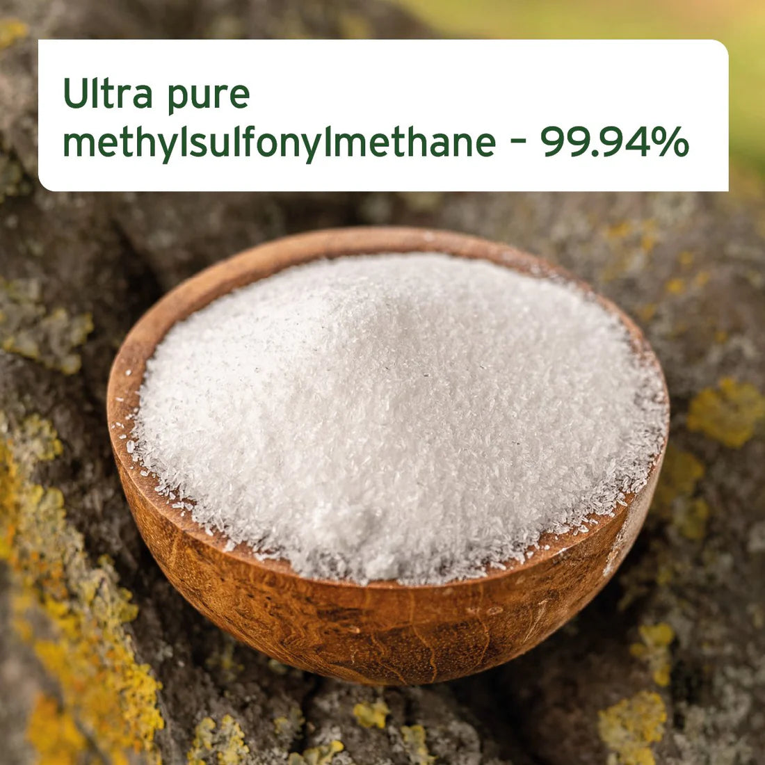 AniForte MSM Powder For Dogs and Cats Joints