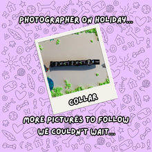 Load image into Gallery viewer, Cosmic Paws Dog Collar
