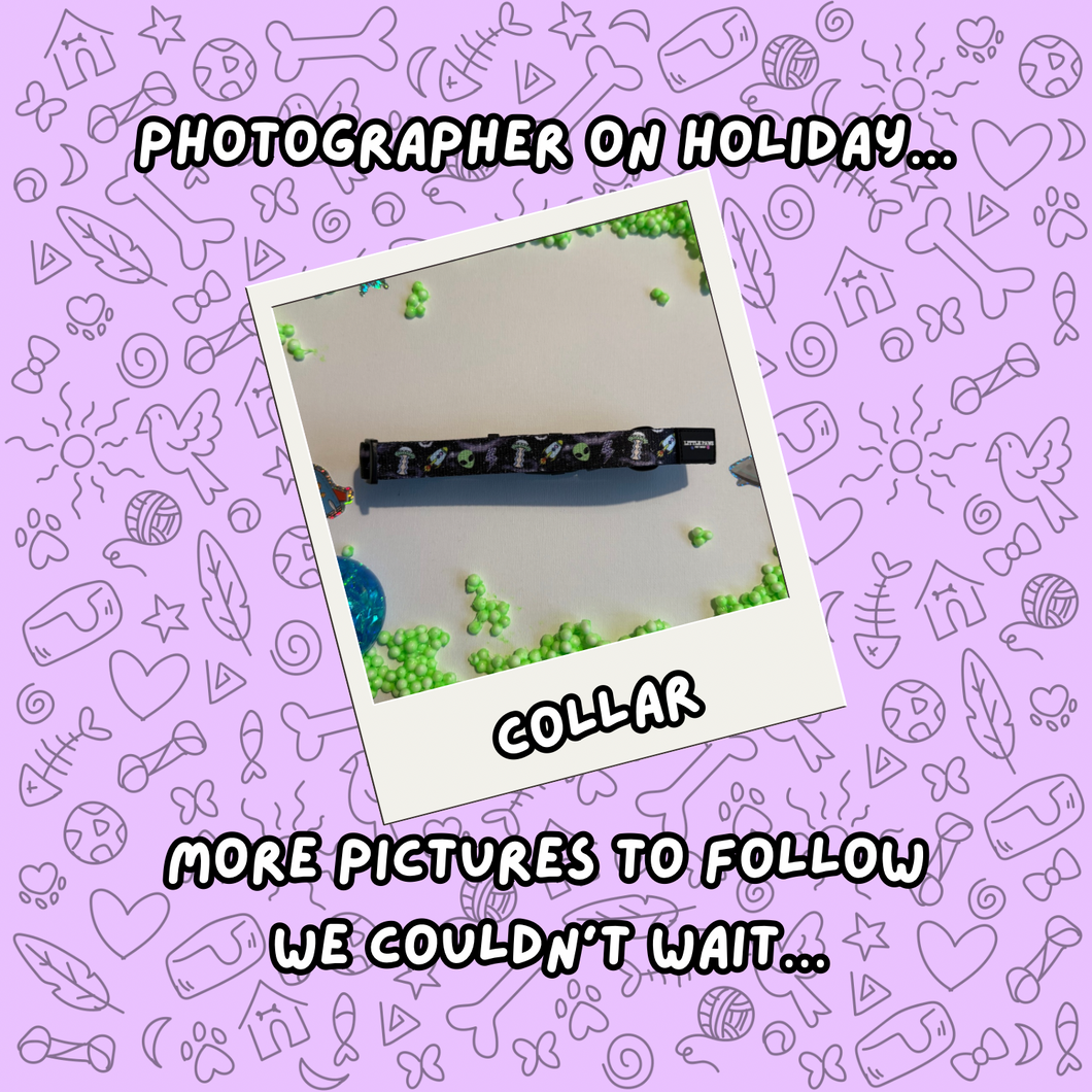 Cosmic Paws Dog Collar