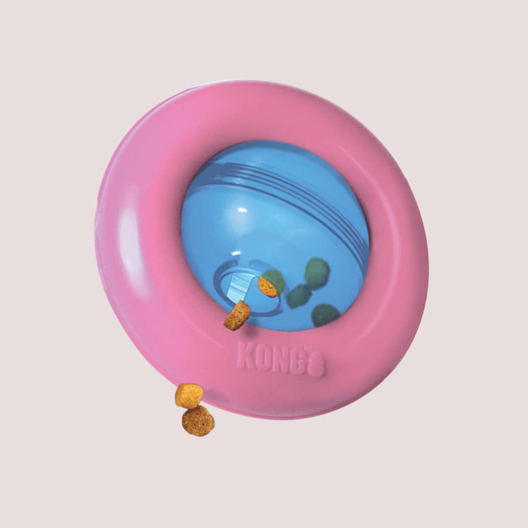KONG Gyro puppy