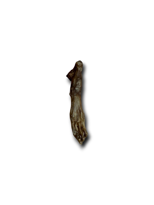 Natural Rabbit Feet