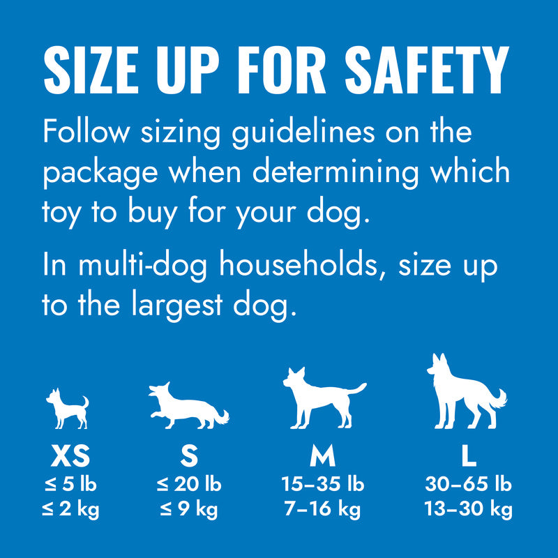 KONG puppy small