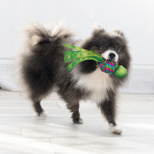 Load image into Gallery viewer, KONG Wubba Weaves small
