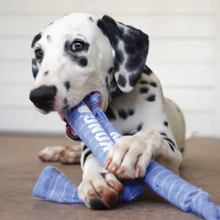 KONG Signature Crunch Rope Puppy