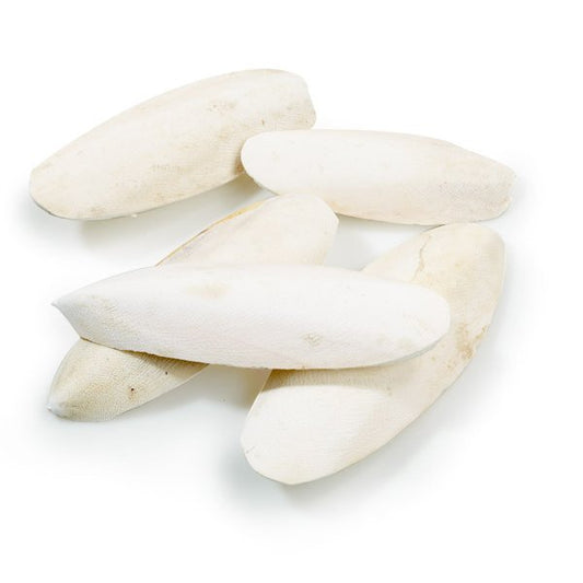 Cuttlefish Bones 2.27kg