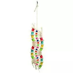 Happy Pet Parrot Rainbow Wave Toy